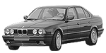 BMW E34 B17E5 Fault Code